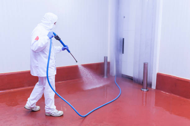 Best Patio and Deck Pressure Washing  in Granby, MO